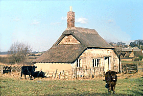 Beehive Cottage Nether Hambleton